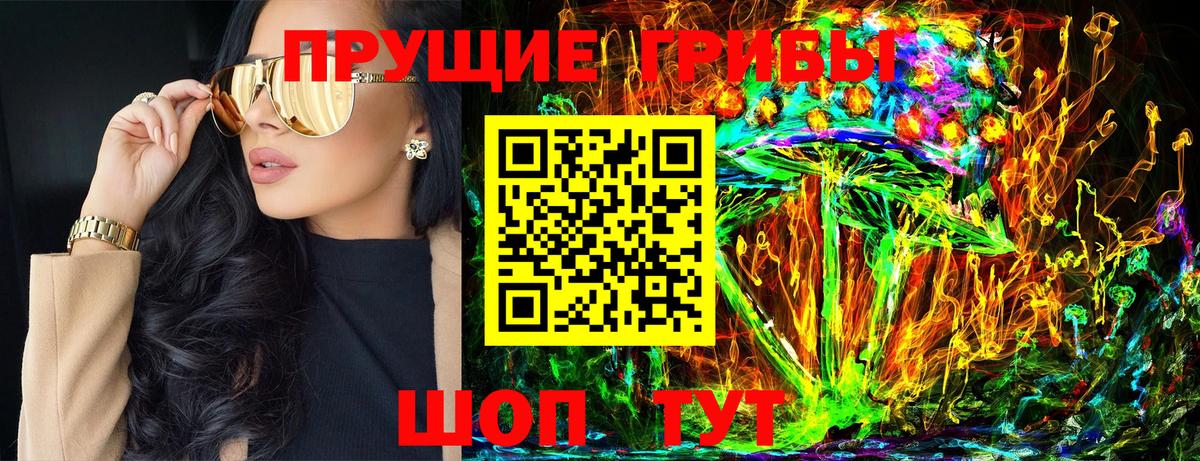 Галлюциногенные грибы Cubensis  Вход с VPN  Ессентуки 